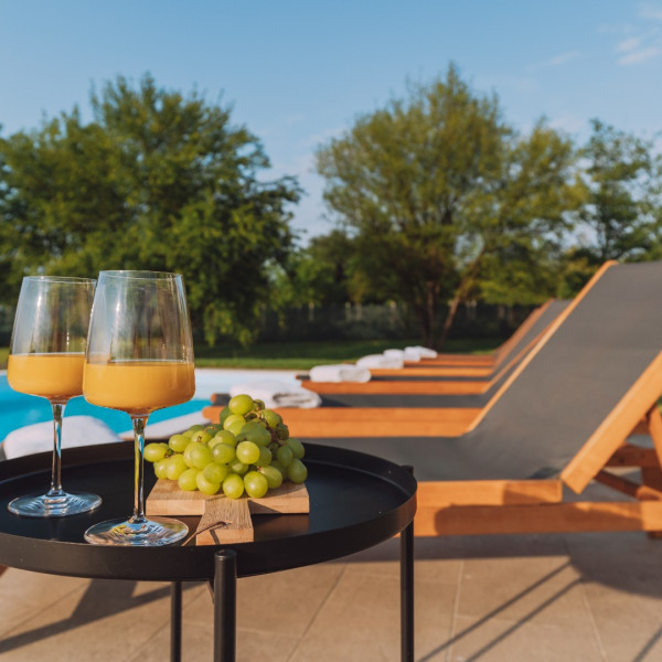 Iris Croatica Luxury Apartments, Iris Croatica Luxury Apartments with Pool in Zagorje, Croatia Oroslavje